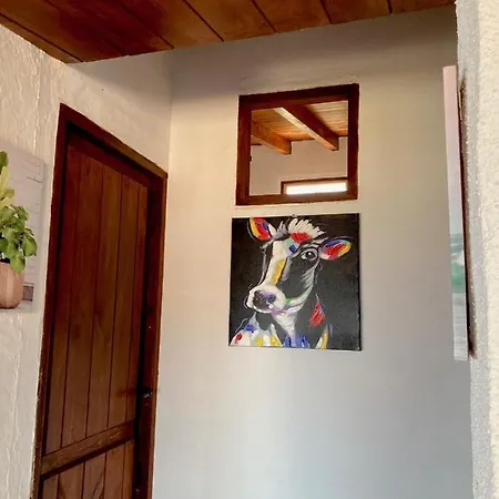 Casa Vistazul *