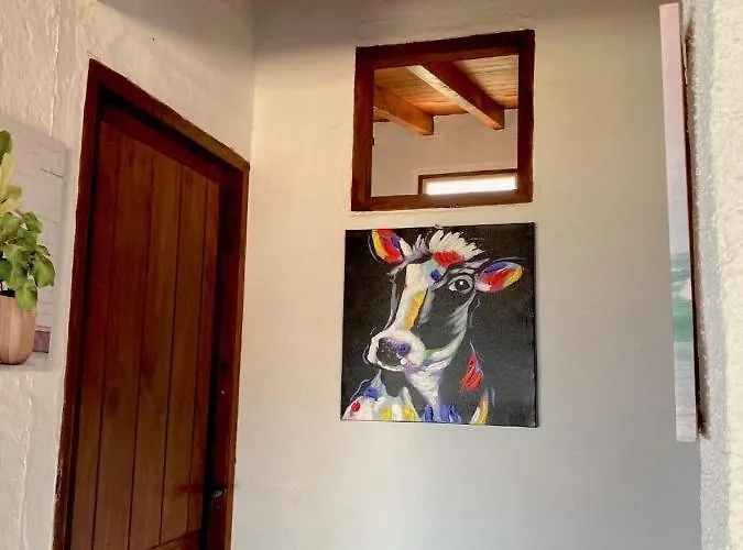 Casa Vistazul *